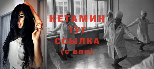 шишки Дмитров