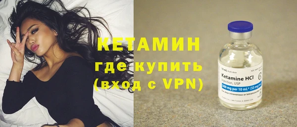 шишки Дмитров