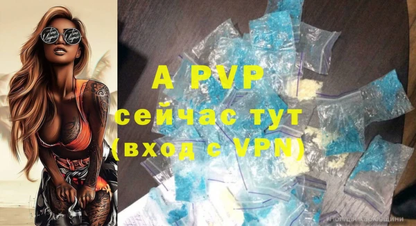 шишки Дмитров