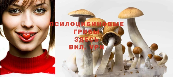 COCAINE Дмитровск