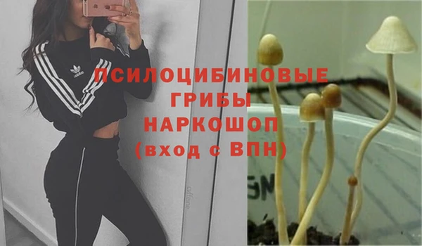 дмт Елизово