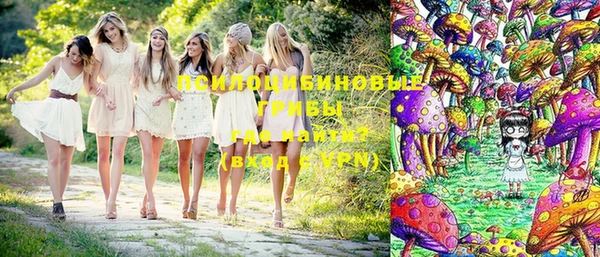дмт Елизово