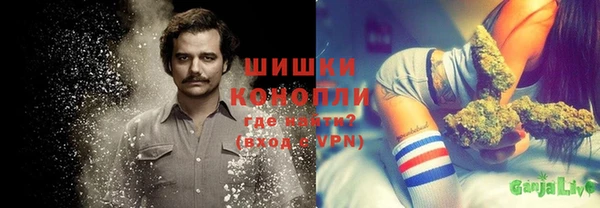 молекула духа Дмитриев