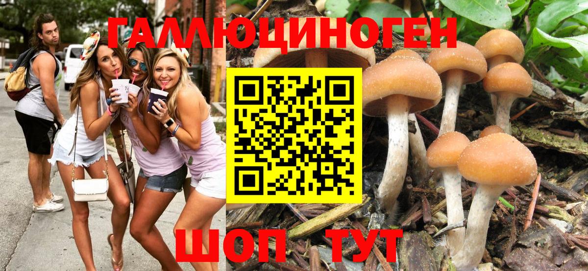 Псилоцибиновые грибы GOLDEN TEACHER Сибай
